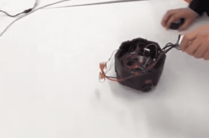 PacBot 2024